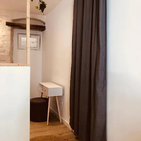 Le Jungle Avec Exterieur 公寓 尼姆